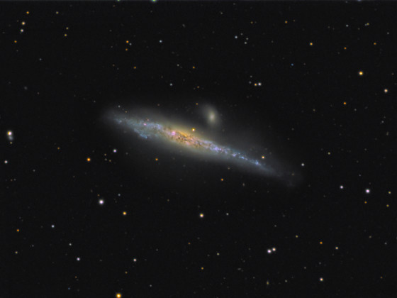 NGC4631 (Whale Galaxy)
