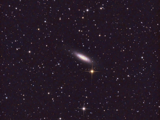 NGC6503 Lost in Space Galaxie (volles Bildformat)