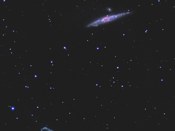 NGC4631,NGC4656