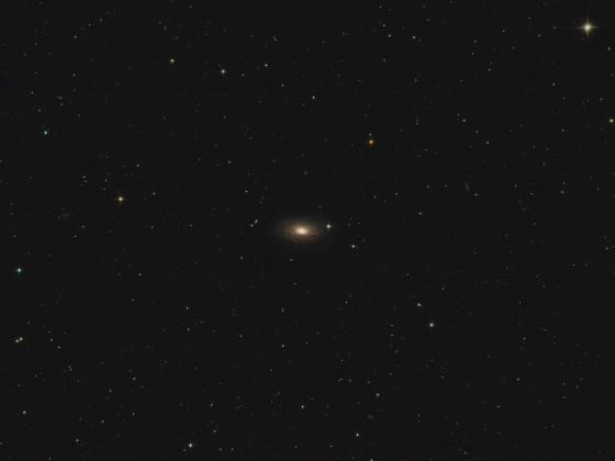 M63 - Sonnenblumengalaxie