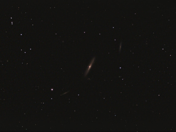 NGC4216 & Co