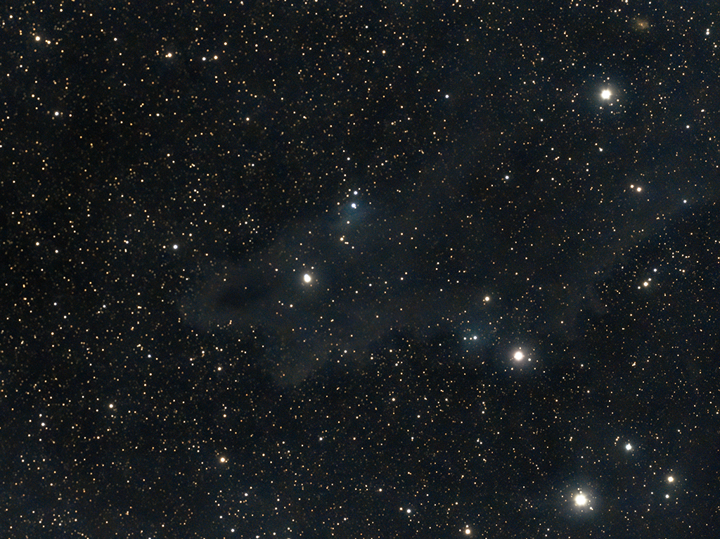LDN1235 Dark Shark Nebula