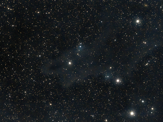 LDN1235 Dark Shark Nebula