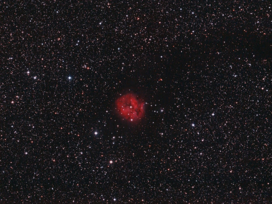 IC 5146 Cocoon Nebel mit Dunkelnebel Barnard 168 im Schwan: 2h IDAS V4-Filter + 2h 20 min Optolong l-pro gemischt; 8" f/4 Newton mit Canon 600da; 05.06.22 + 21.06.22