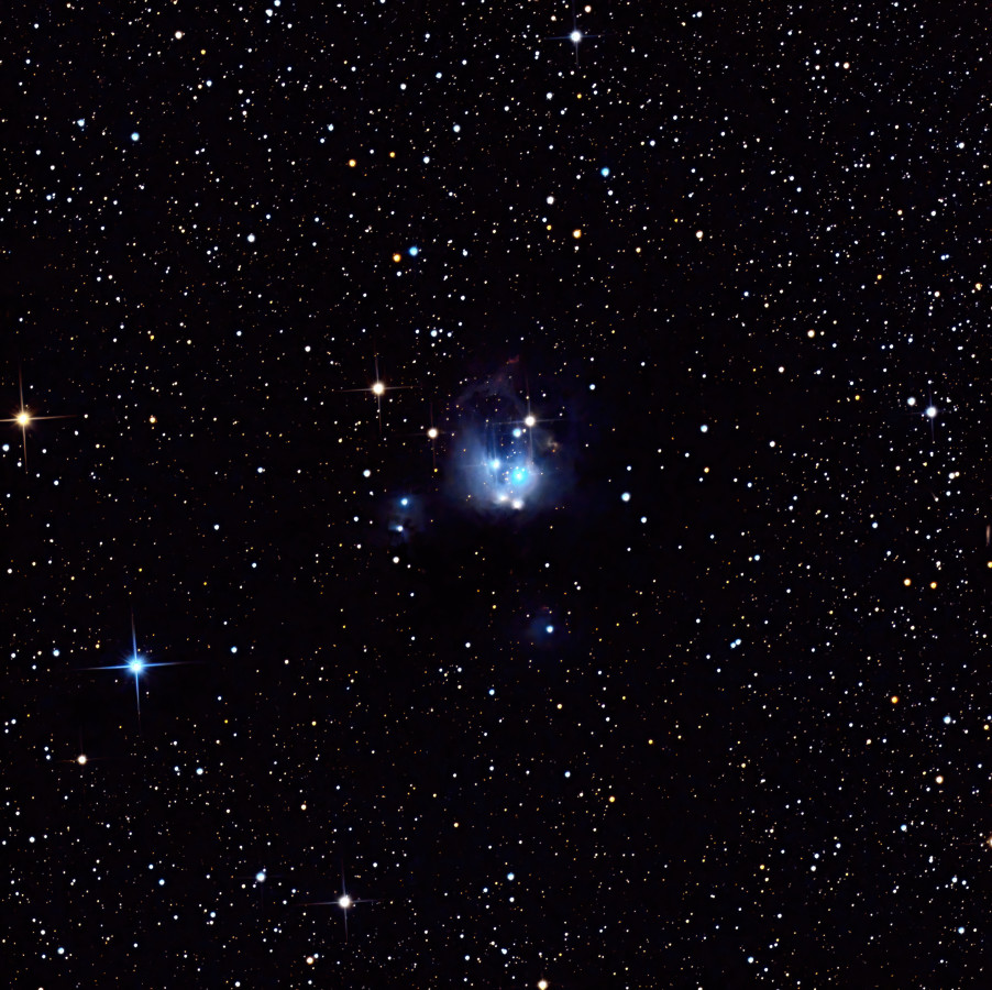 NGC7129 („Kosmische Rosenknospe“)