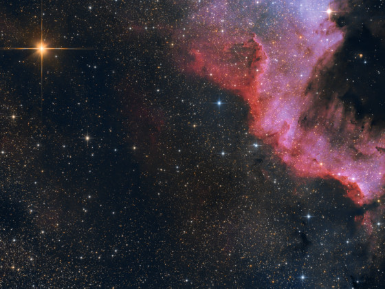 NGC 7000: Cygnus Wall