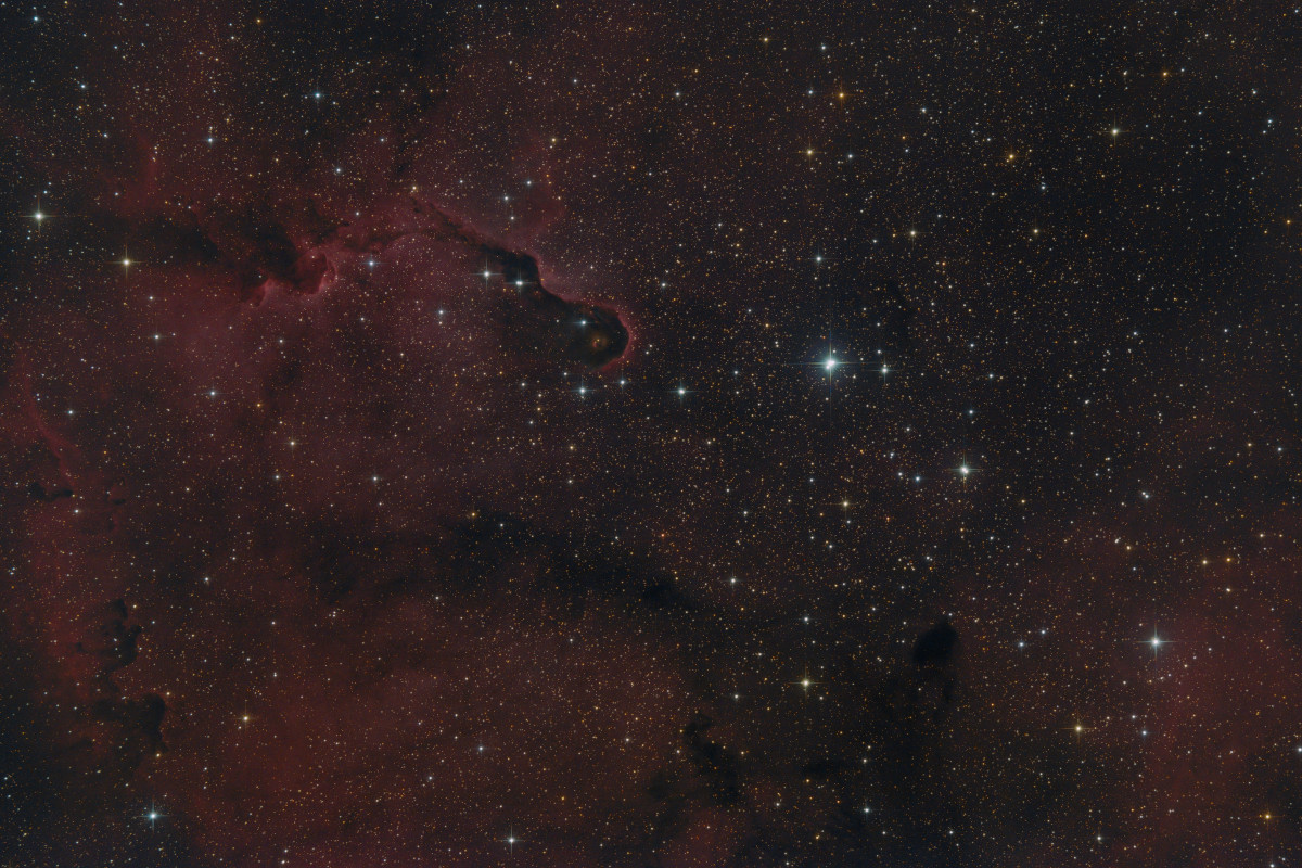 IC1396 - Elefantenrüsselnebel