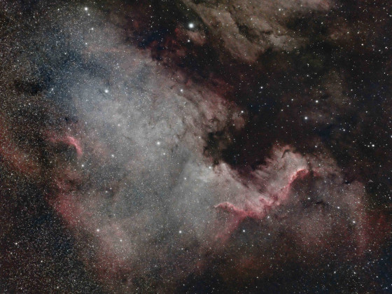 NGC 7000 mit dem Optolong L-eNhance Filter