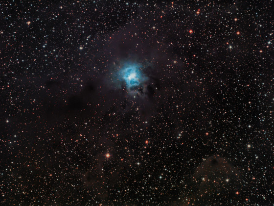 NGC7023 Iris Nebel