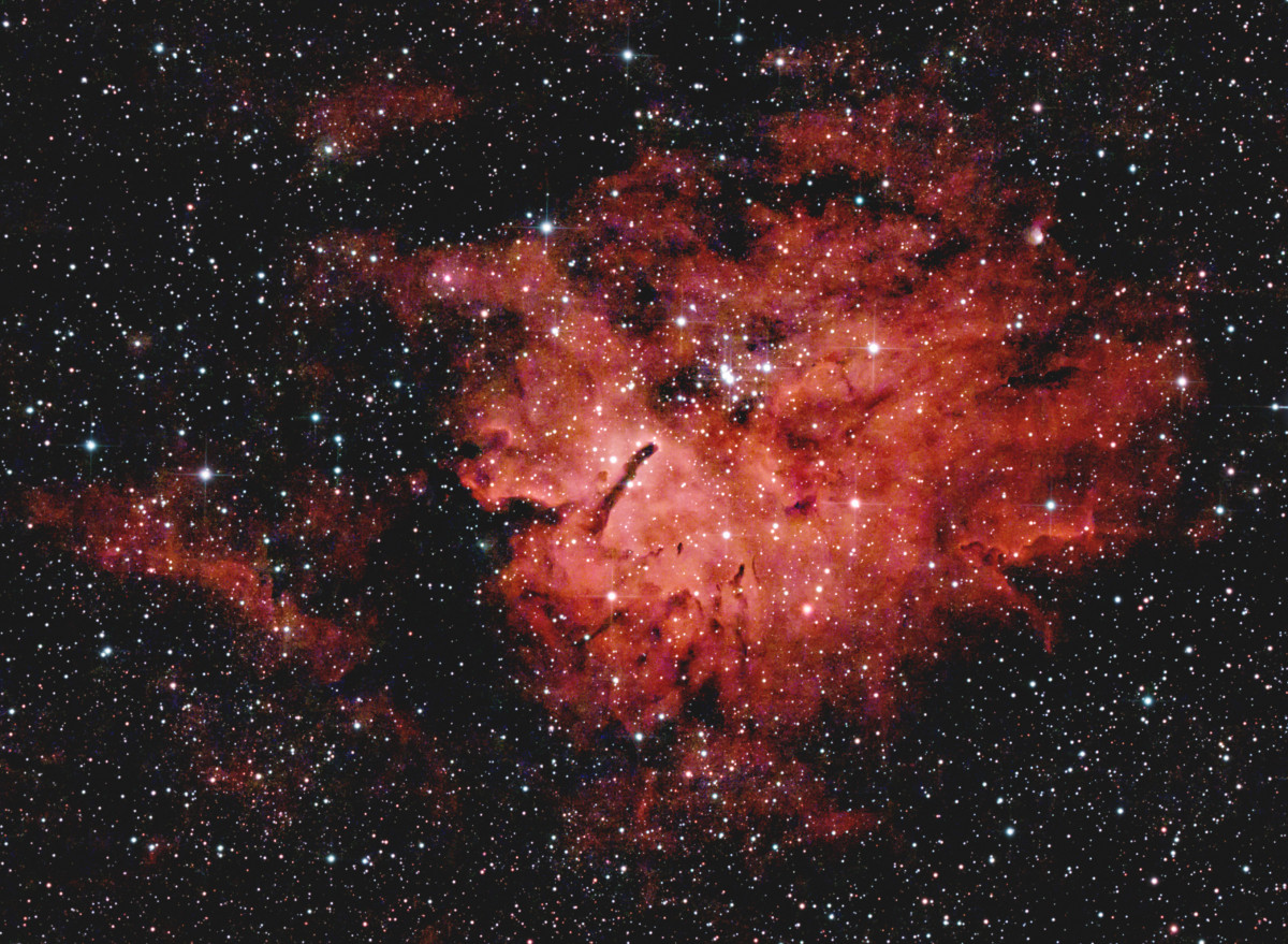 "Snorkel Nebula" (Sh2-86; NGC 6820; NGC 6823) aus der Stadt heraus