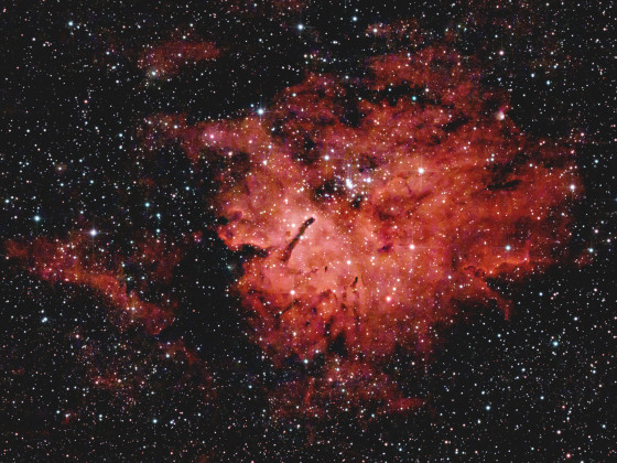 "Snorkel Nebula" (Sh2-86; NGC 6820; NGC 6823) aus der Stadt heraus