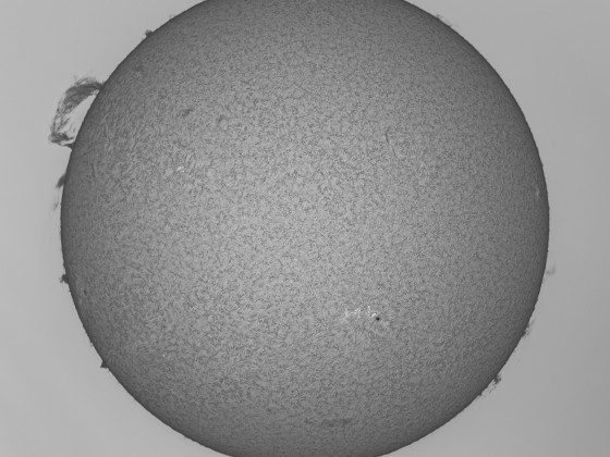 Sonne vom 3. August 2022 mit einer grossen Protuberanz