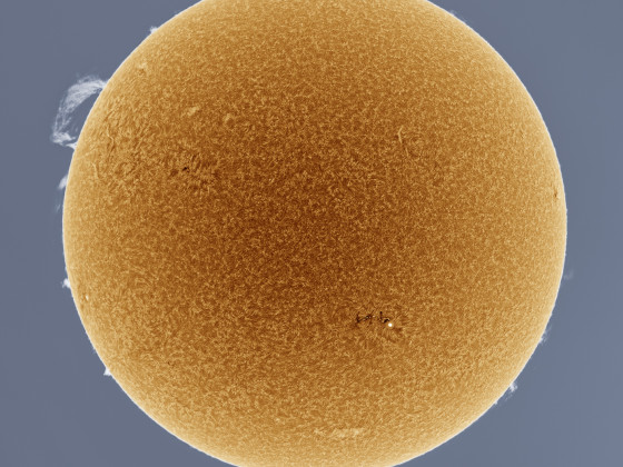 Sonne vom 3. August 2022 mit einer grossen Protuberanz