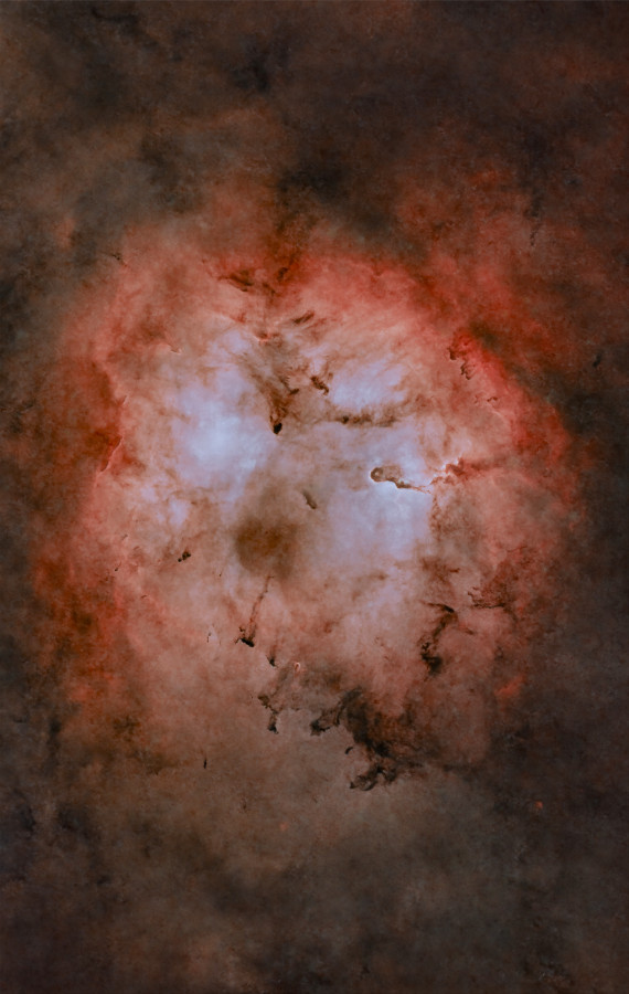 IC1396_starless
