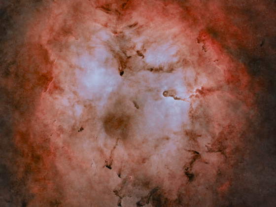 IC1396_starless
