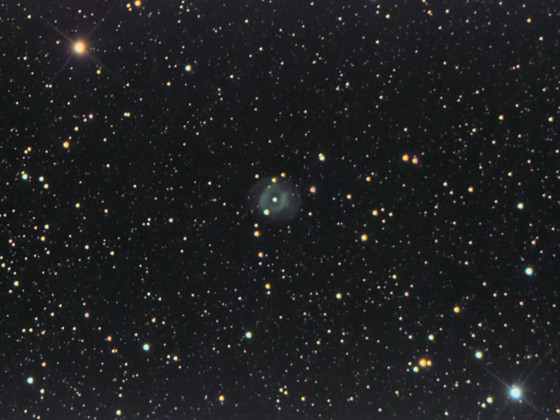 NGC 6804 im Adler
