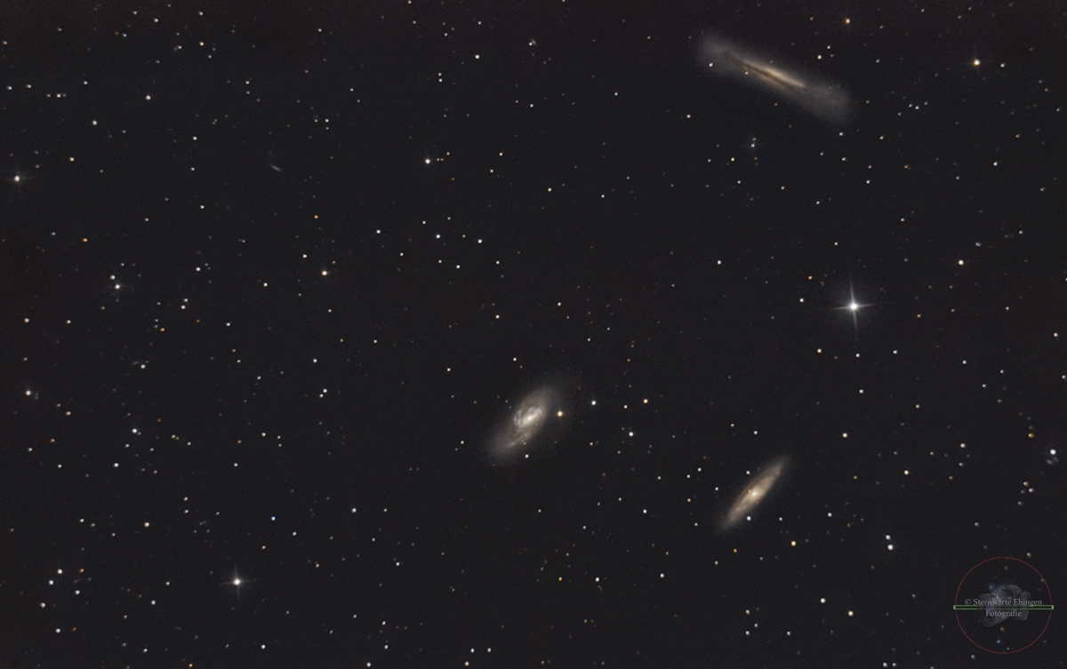 Leo-Triplett Messier 65 und 66,  NGC 3628