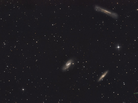 Leo-Triplett Messier 65 und 66,  NGC 3628