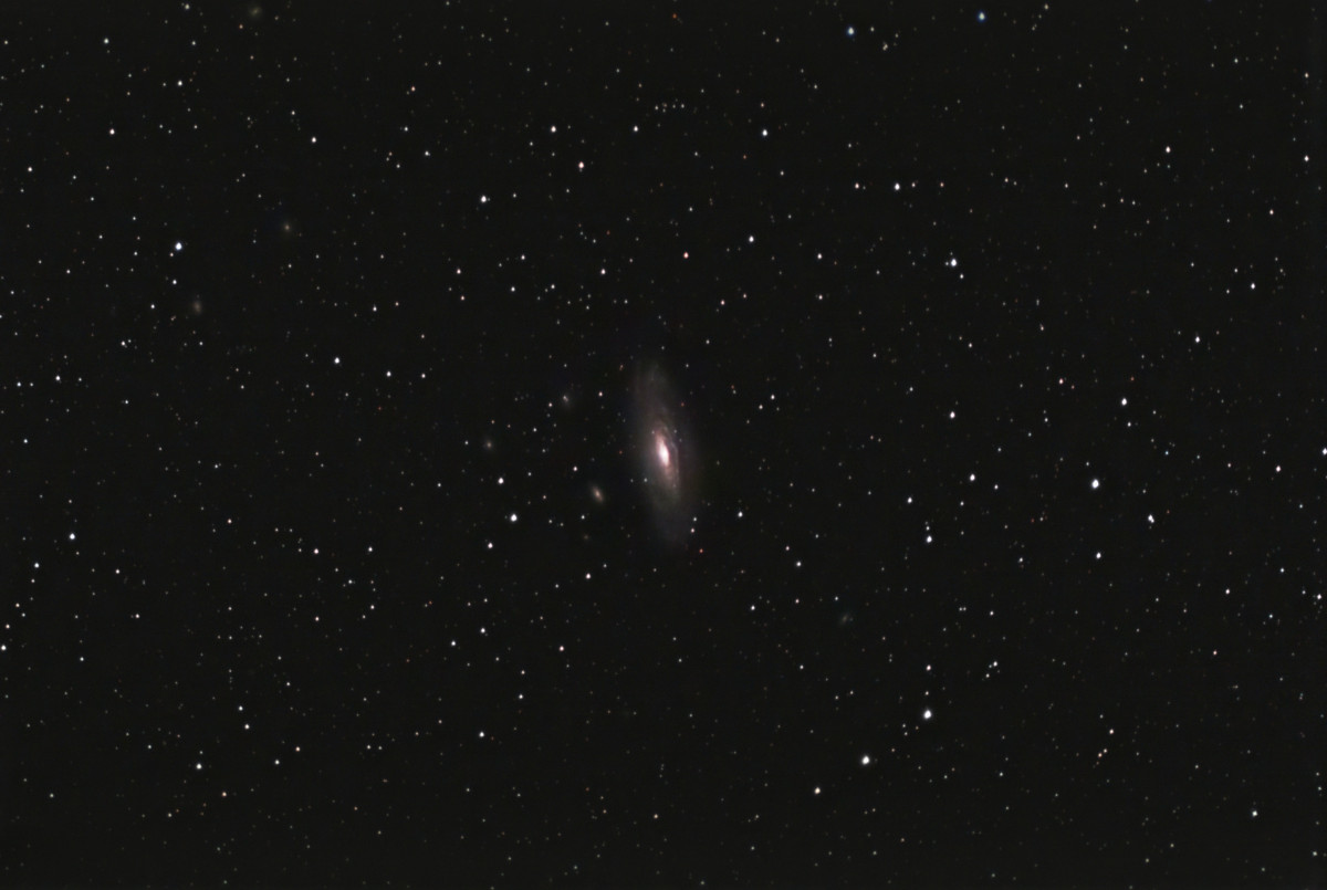 NGC7331 mit Stellina