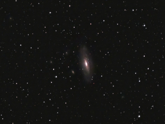 NGC7331 mit Stellina