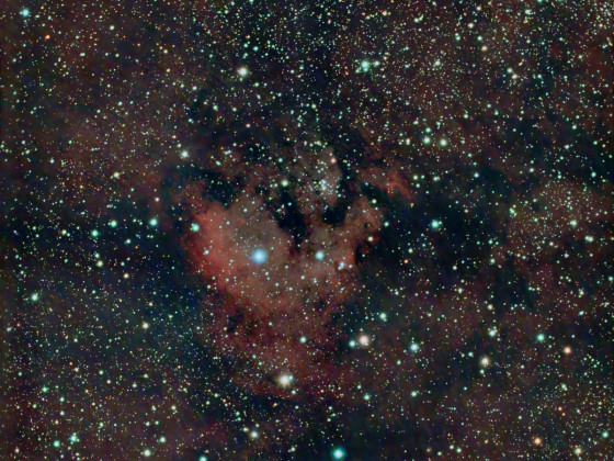 Cederblad 214 (Mitte) mit etwas NGC 7822 (oben): 80mm APO bei f/4.8 mit Canon 77da; IDAS V4-Nebelfilter; 31x6 min; also der Mittelteil des Samyang 135mm-Bildes; auf Doppelbefestigung