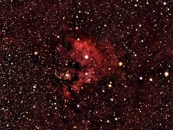 NGC7822 (Aufnahme ohne Schmalbandfilter)