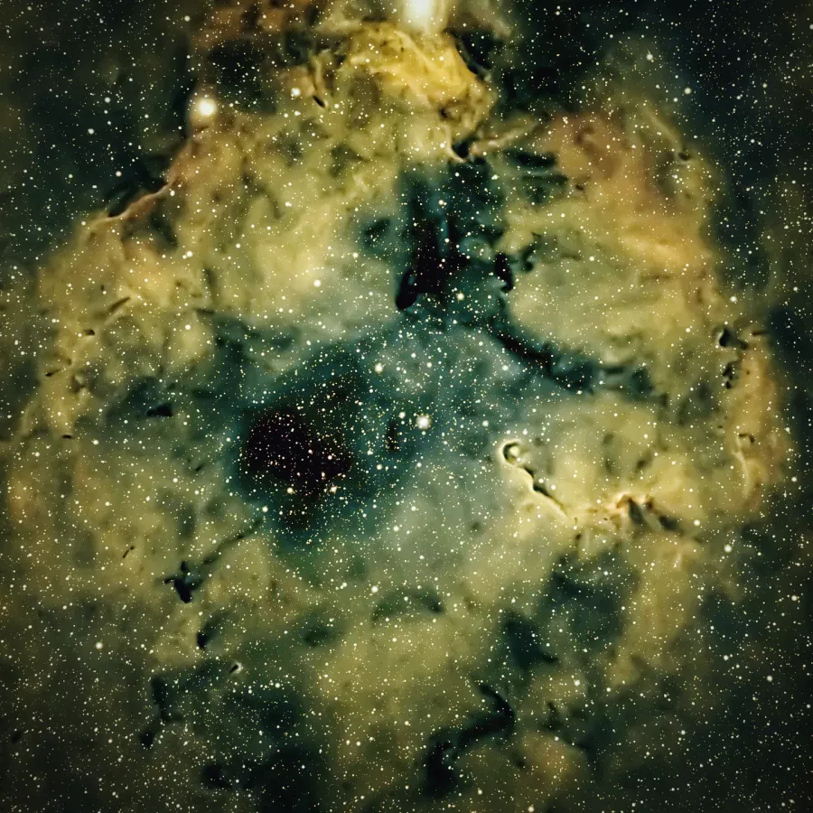 IC1396 mit Elefantenrüsselnebel