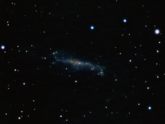 NGC4236 Galaxie mit der Vaonis Stellina