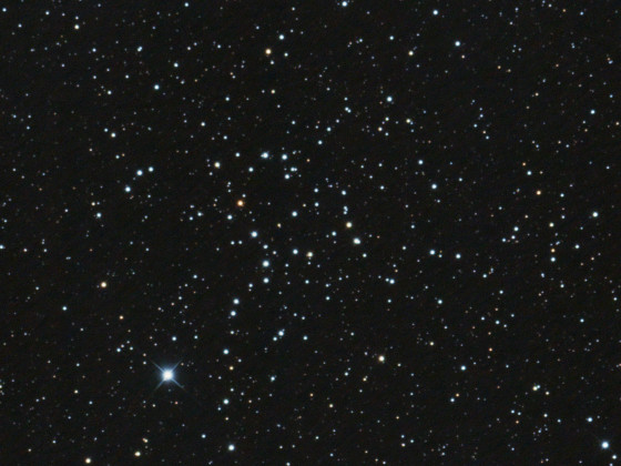 NGC 1664 – Drache oder Rochen? Ein auffälliger Offener Sternhaufen im Fuhrmann