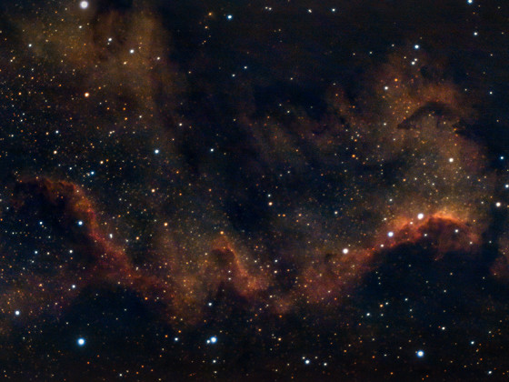 NGC7000 mit der Vaonis Stellina (96 Minuten belichtet)