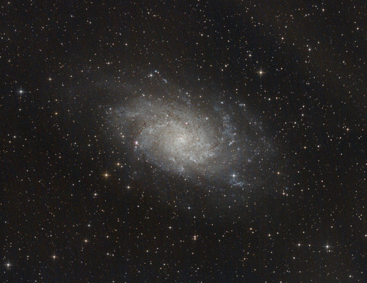 M33 3h bei f/3 mit dem 6" f/4 Newton und der Canon 77da am 02.03.10.22: kleine Sterne