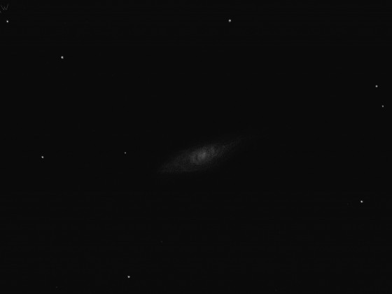 NGC 3521 mit 16", 257x, GG: 6m0,  4/2015