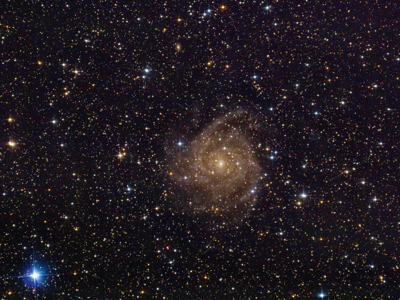 IC 342