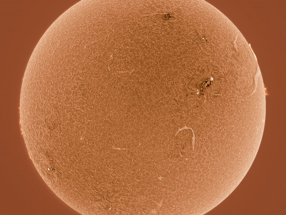 Sonne in H-Alpha am 22.06.2022 (invertiert)