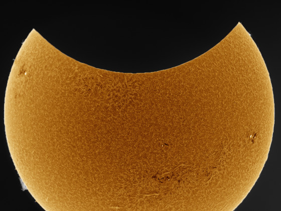 Partielle Sonnenfinsternis vom 25. Okt. 2022 in Halpha, invertiert.
