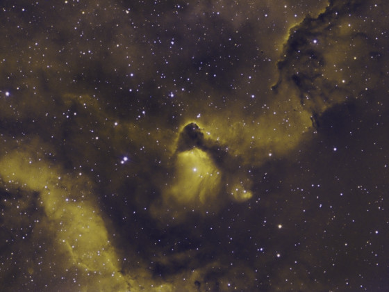 IC1871 BI-Color