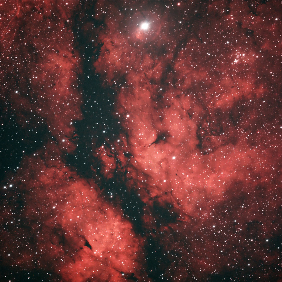 Sadr mit IC 1318 und NGC 6910