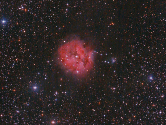 IC 5146 neu bearbeitet mit starnet von 06.2022: 8" f/4 Newton + Canon 600da; 2h mit IDAS V4 + 2h20min mit l-pro Filter; nicht gedithert, daher WPN sichtbar ...und die Dunkelwolke bekomme ich nur dunkel hin.