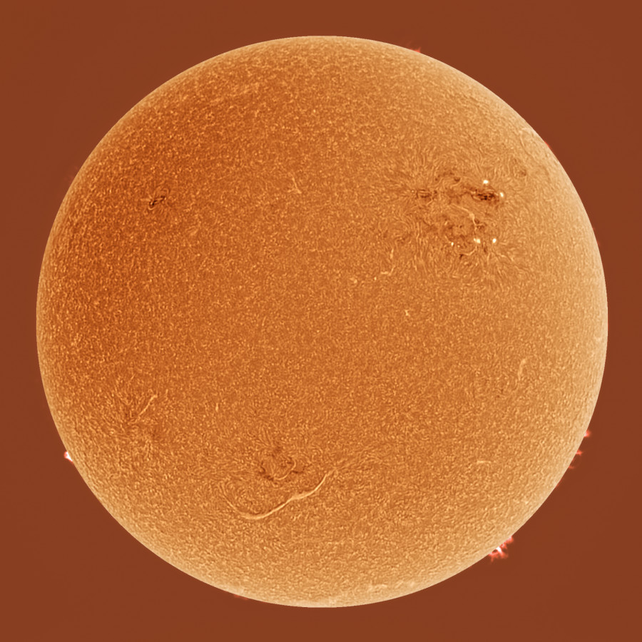 Sonne in H-Alpha am 13.11.2022 (invertiert)