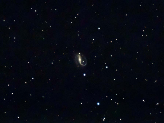 NGC7479 Propeller-Galaxie mit der Vaonis Stellina