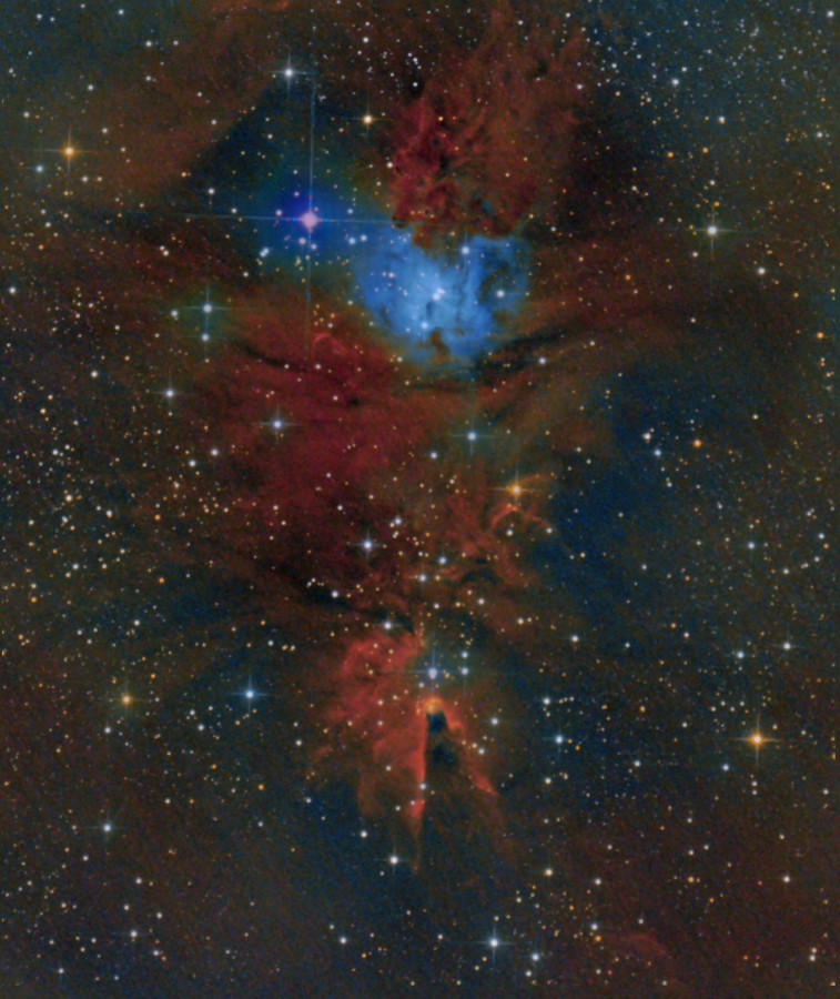 NGC 2264 neu bearbeitet von 2019/2020: 8" f/4 Newton, Canon 77da;360x32 sec mit IDAS V4 Filter + 6x3 min ohne Filter für die natürl. Sternfarben und Sterne
