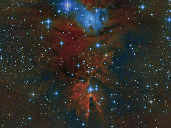 NGC 2264 neu bearbeitet von 2019; 8" f/4 Newton und Canon 77da mit IDAS V4 Filter; 360x32 sec;  nur mit Filter-Sternen