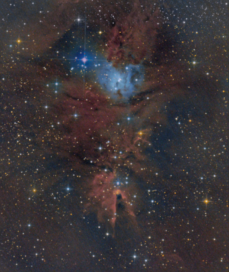 NGC 2264 3h mit Nebelfilter + 18 min ohne Filter; 8" f/4 Newton mit Canon 77da; 50% der RGB Farbe sind ins Bildfeld eingeflossen