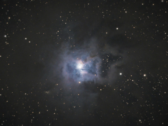 NGC7023 der Irisnebel