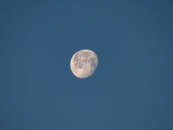 Mond am 11.12.2022 bei Tageslicht