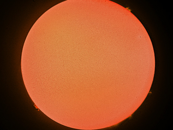Sonne in H-Alpha am 12.01.2021