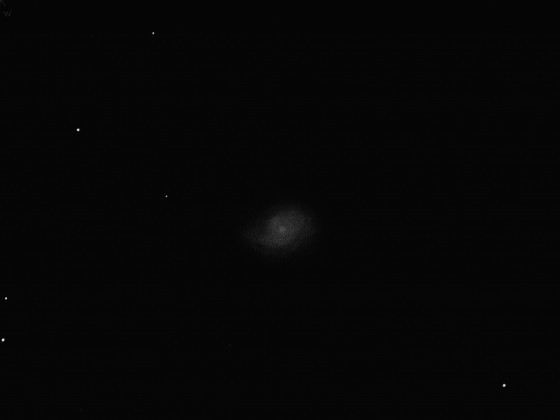 NGC 3310 mit 16", 375x, GG: 6m4,  4/2016