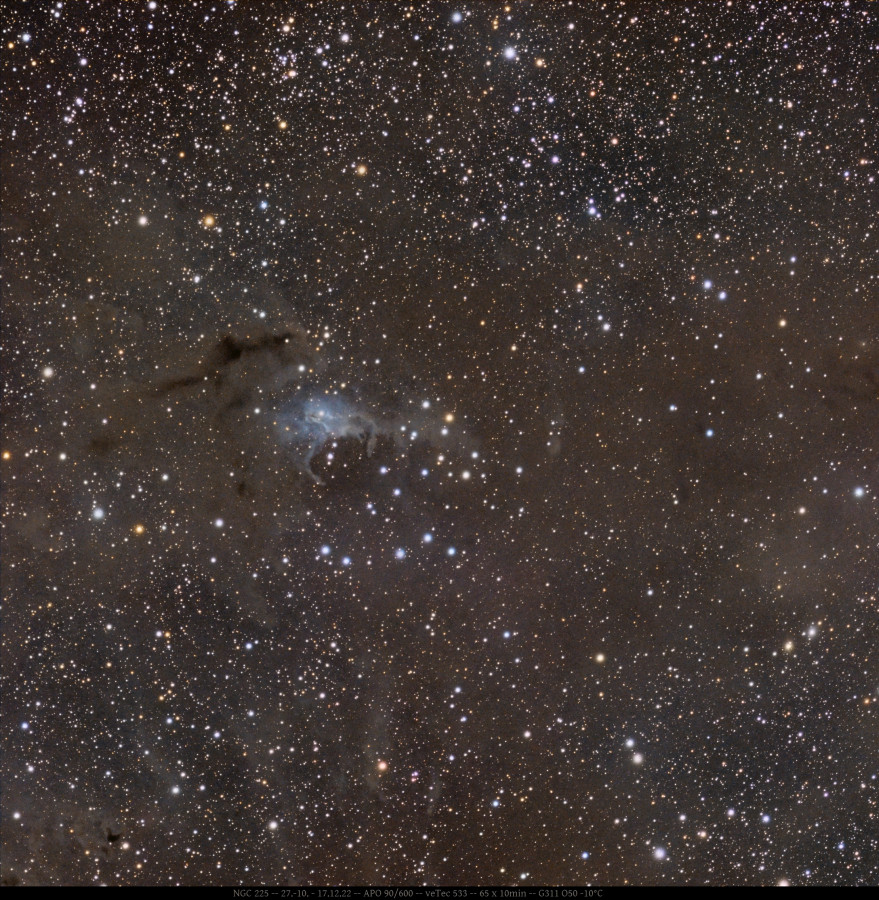 NGC 225 & vdB 4