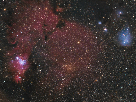 NGC2264 Weihnachtsbaum Cluster IC2169