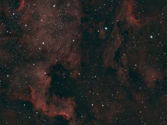 NGC 7000 - 08.02.2023